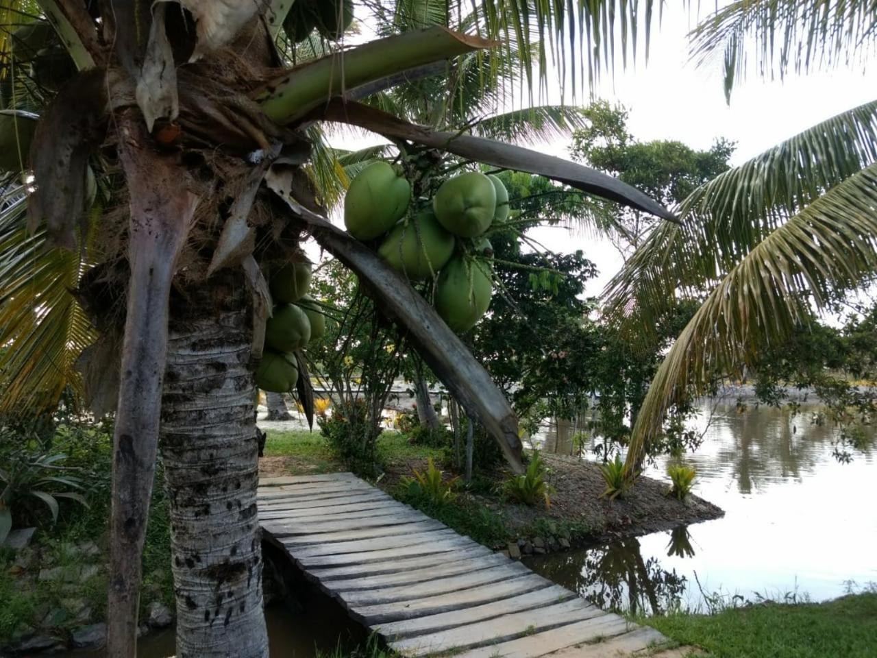 Residencial Lagoa Da Praia Alcobaça Exteriör bild